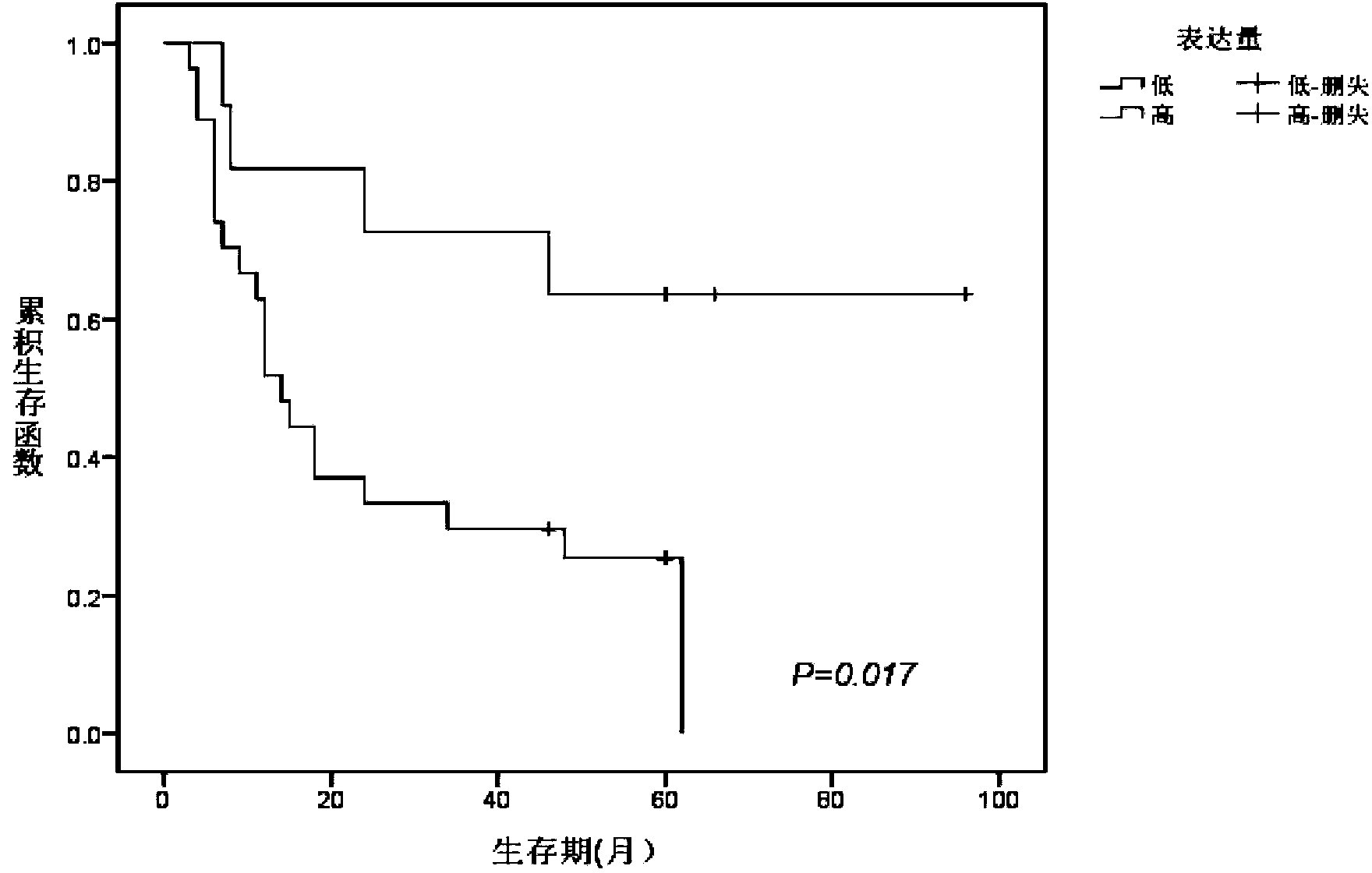 miRNA markers and their application related to early recurrence and prognosis of esophageal cancer