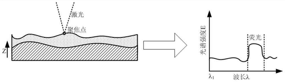 Device and method for measuring microscopic topography of workpiece surface coated with cutting fluid