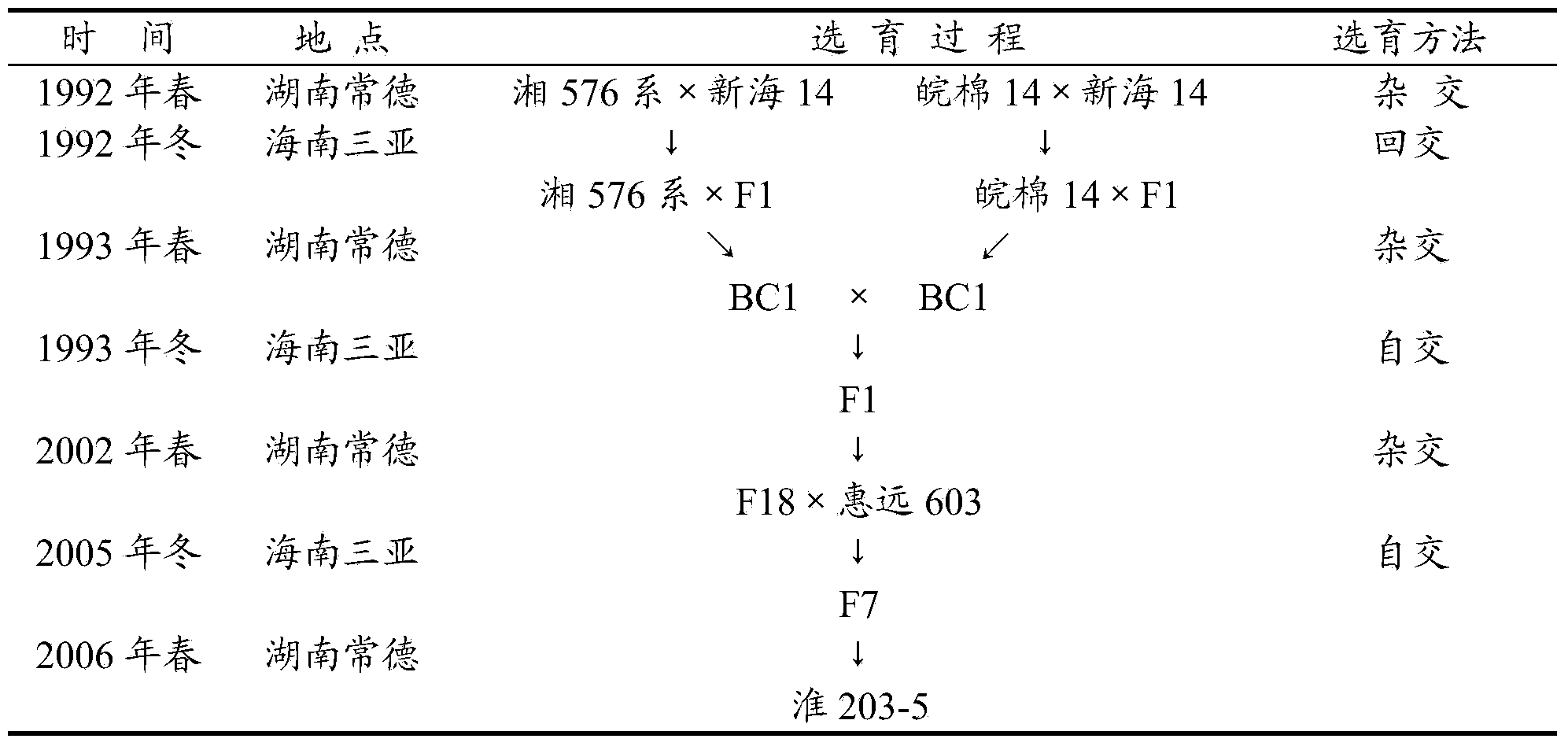 Breeding method of new variety of short-branch low-phenol cotton suitable for mechanical picking