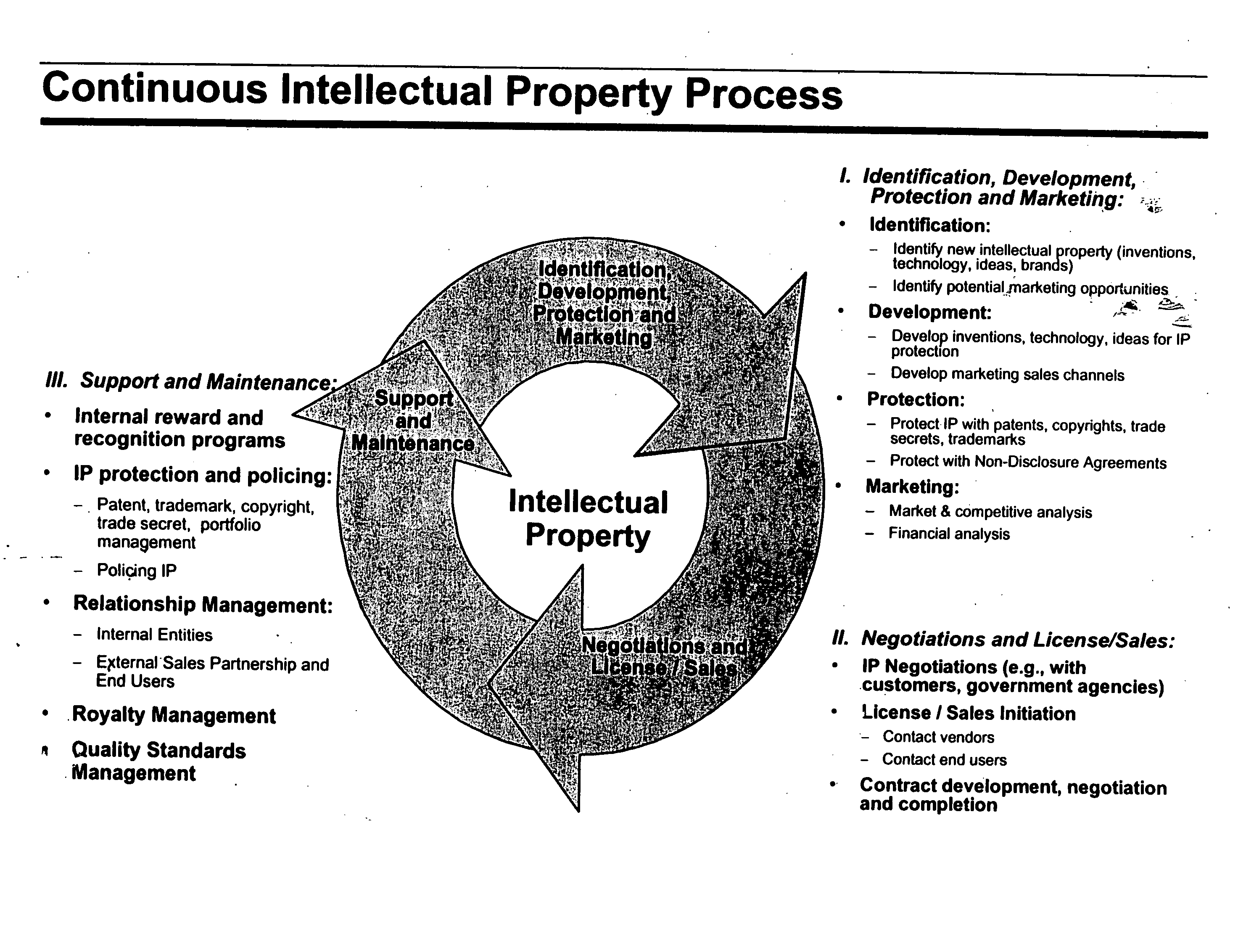 System and method for selecting and protecting intellectual property assets