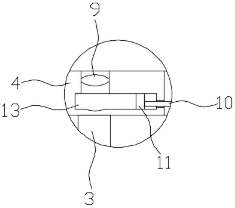 A kind of rice dendrobium seedling bed and seedling raising method thereof