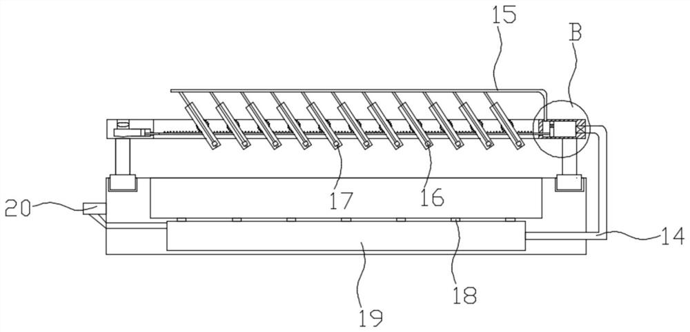 A kind of rice dendrobium seedling bed and seedling raising method thereof