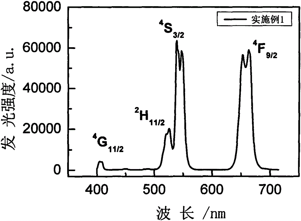 Rare earth ion doped SrI2 microcrystalline glass and preparation method thereof