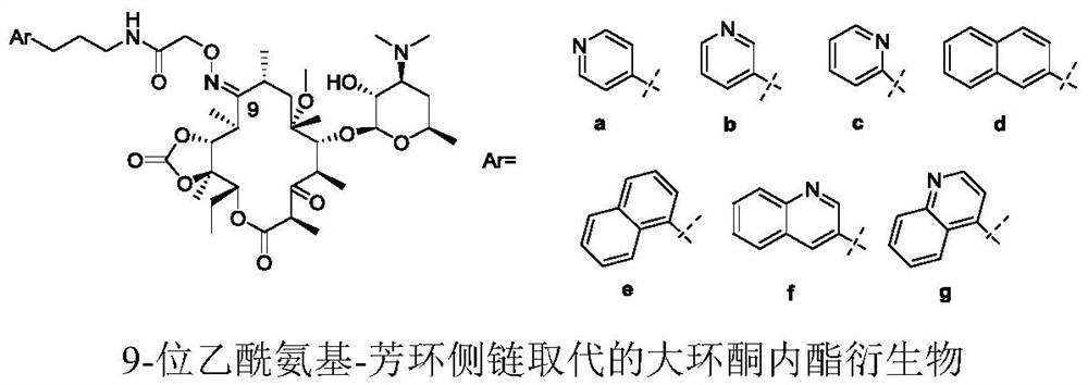 Erythromycin A ketolide antibiotic derivative, its preparation method and application
