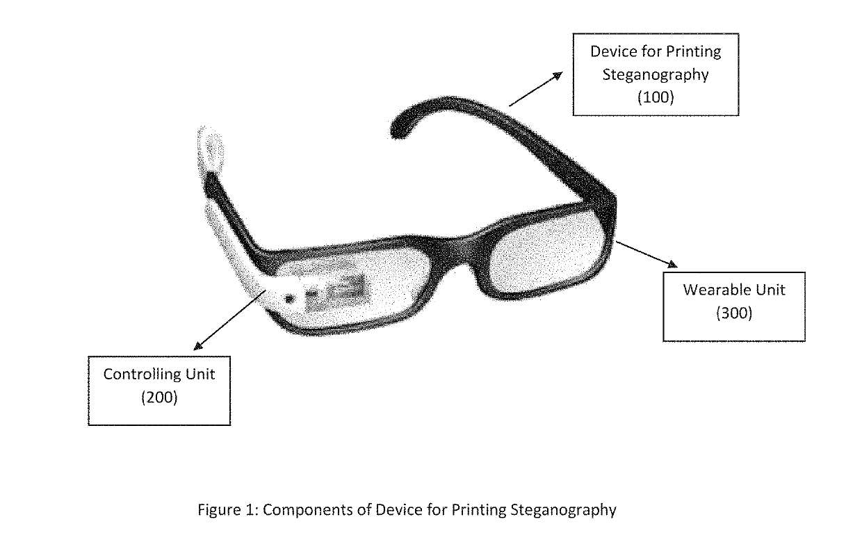 Apparatus and method for printing steganography to assist visually impaired