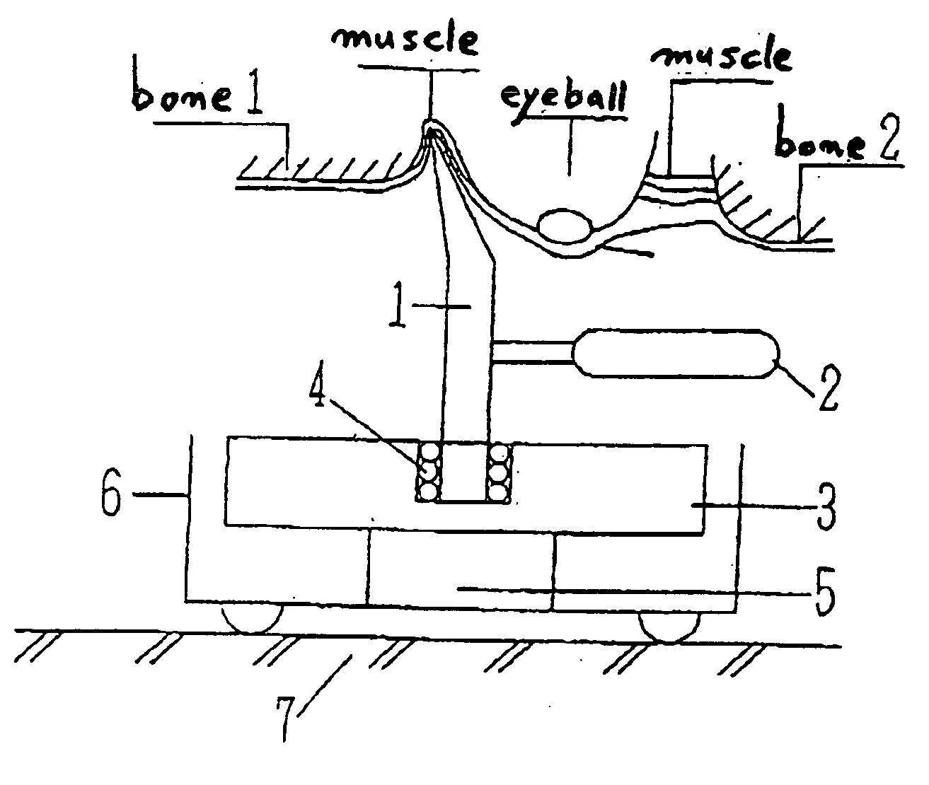 Eyesight and hair recovery device, and medical treating method