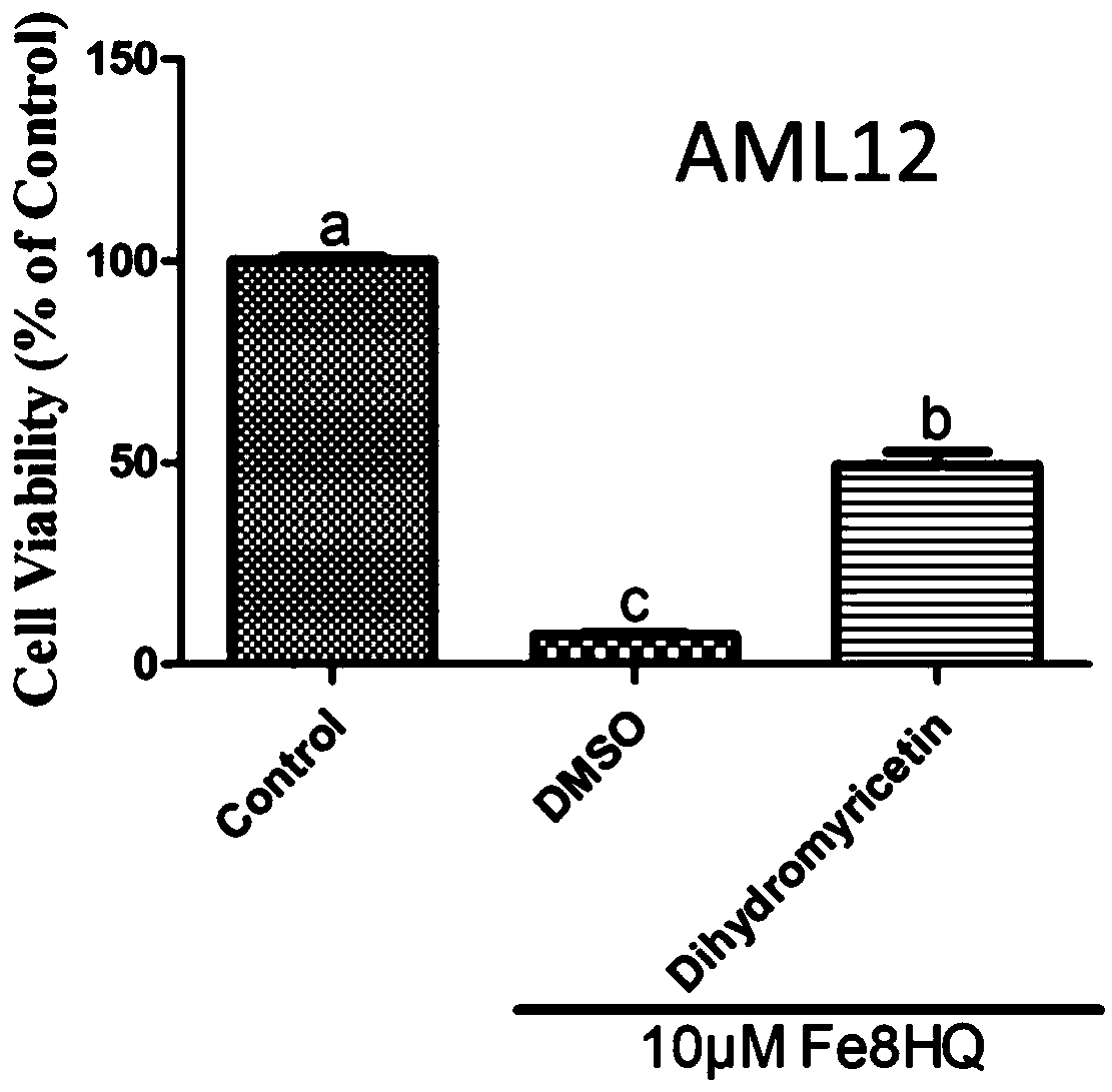 Application of dihydromyricetin in preparing drugs for treating iron overload diseases