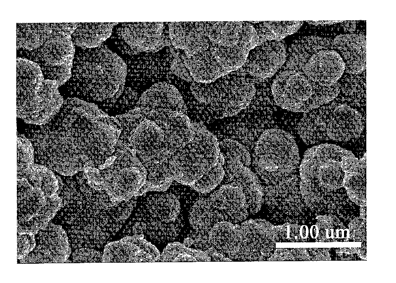 High-magnetic heavy-metal ion adsorbent carrying conductive high molecules and preparation method thereof