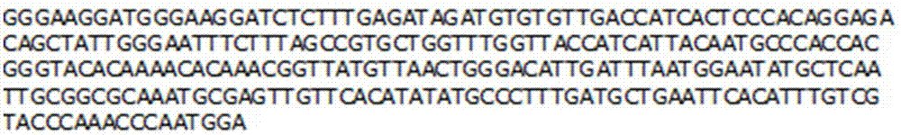 Method for detecting coxsackie group A 16-type virus in mixed infection of hand-foot-and-mouth disease