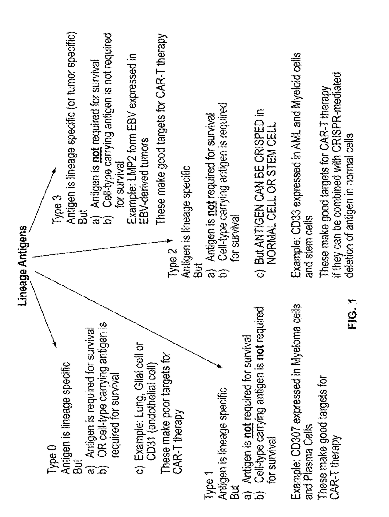 Compositions and methods for inhibition of lineage specific antigens