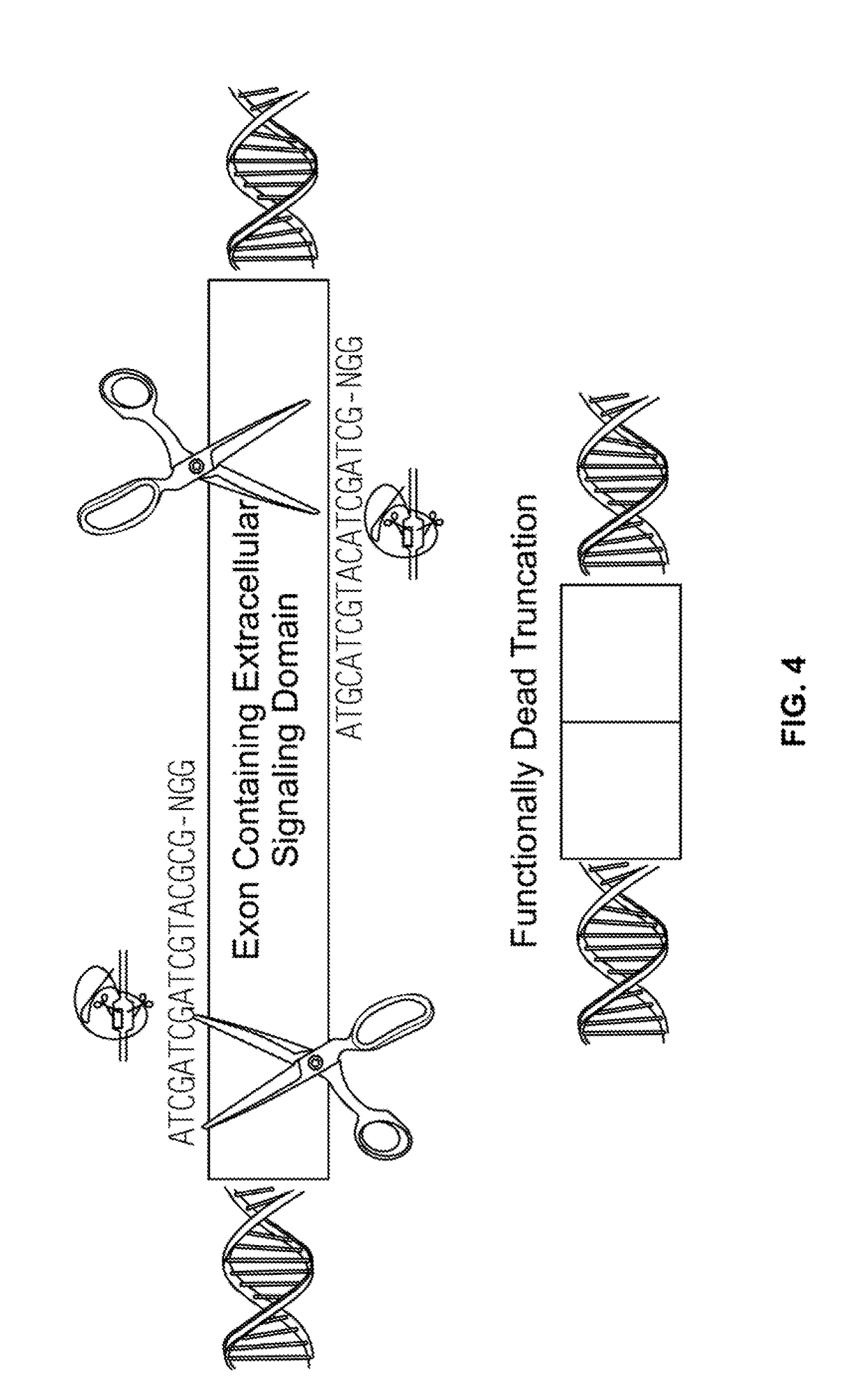 Compositions and methods for inhibition of lineage specific antigens