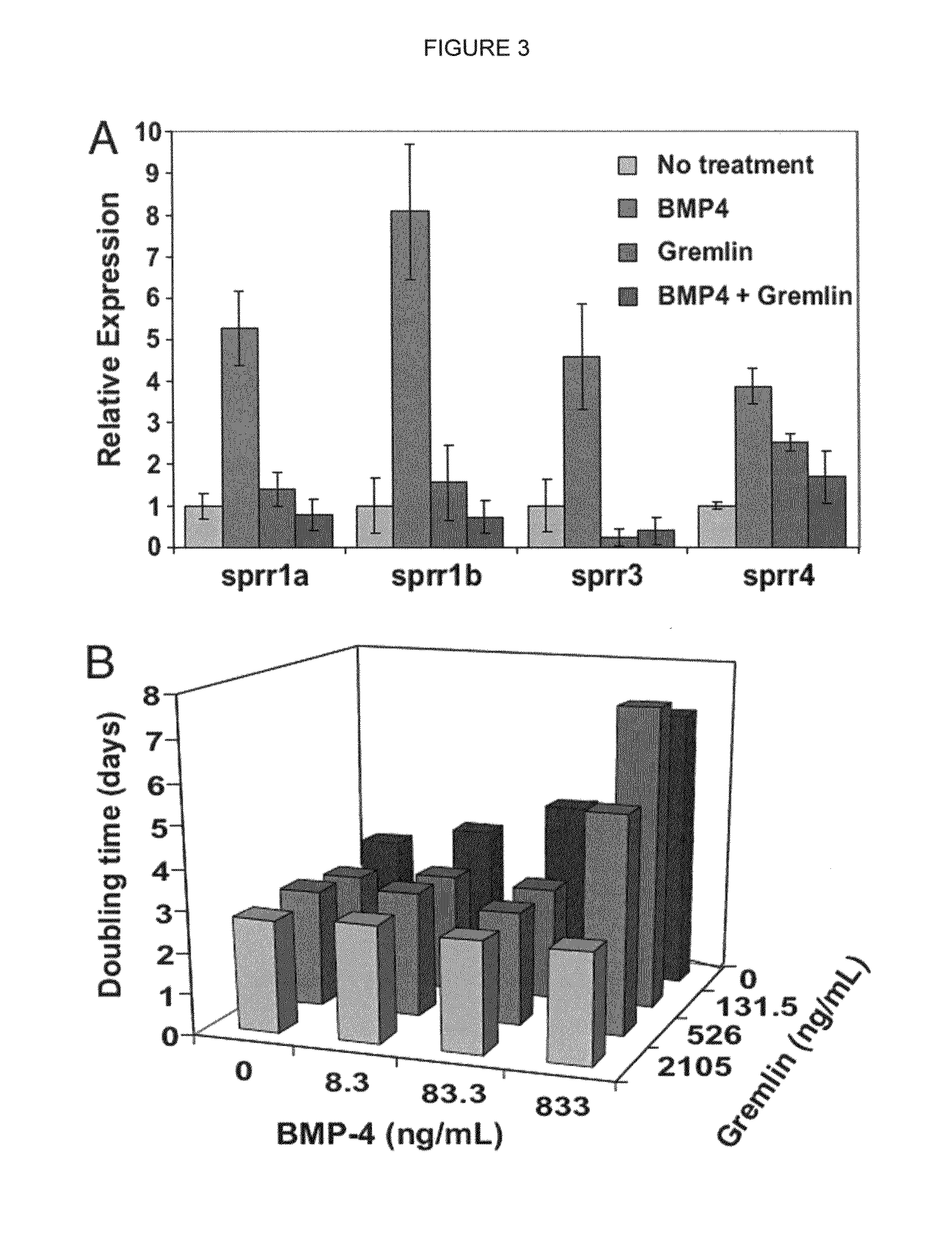 Bone morphogenetic protein antagonist and uses thereof