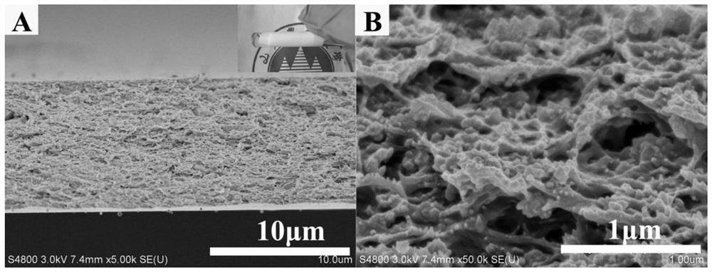 Preparation method of a self-floating carbon nitride/cellulose acetate flexible photocatalytic porous film