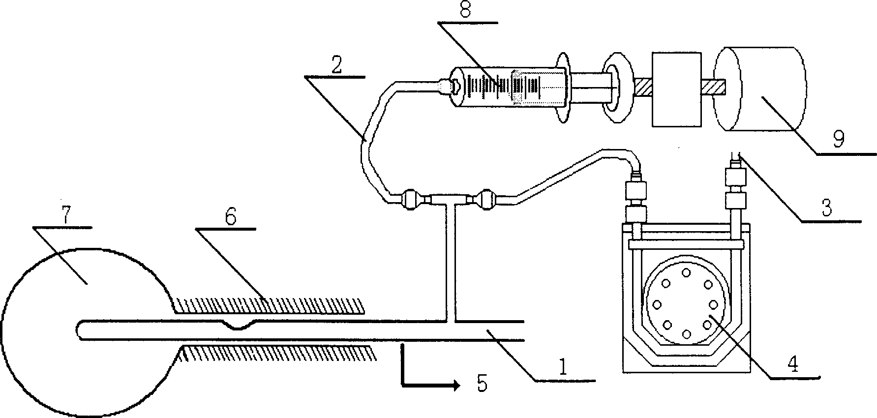 Testing method and testing device in dynamics of living body