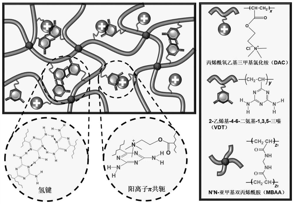 High-adhesion composite hydrogel with synergism between strong hydrogen bonds and cation-pi interaction, and preparation method thereof