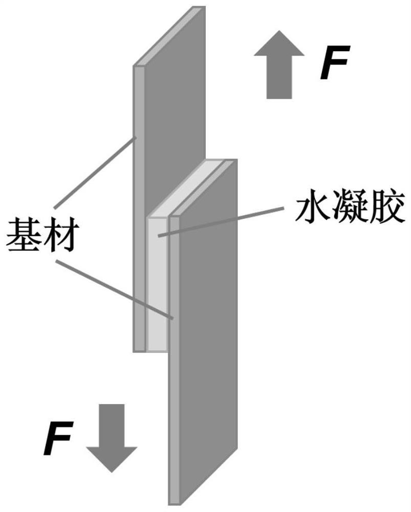 High-adhesion composite hydrogel with synergism between strong hydrogen bonds and cation-pi interaction, and preparation method thereof