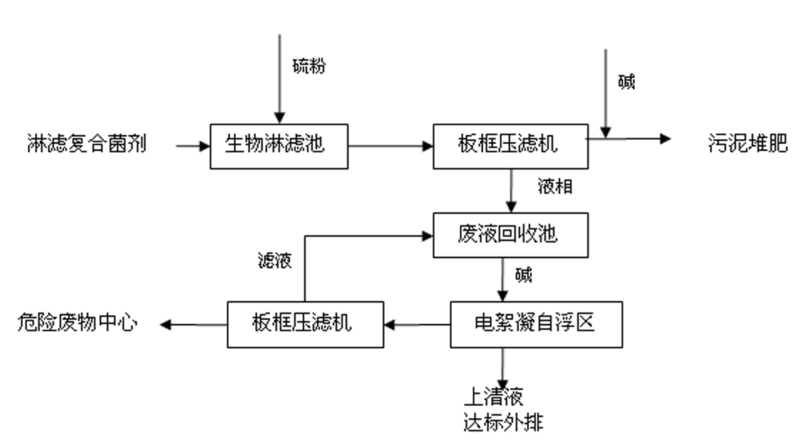 Process for removing heavy metal from sludge of sewage treatment plants