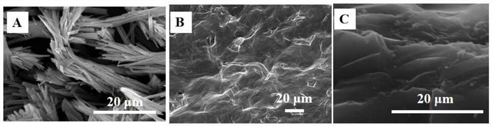 An electrochemical sensor for detecting lead ions