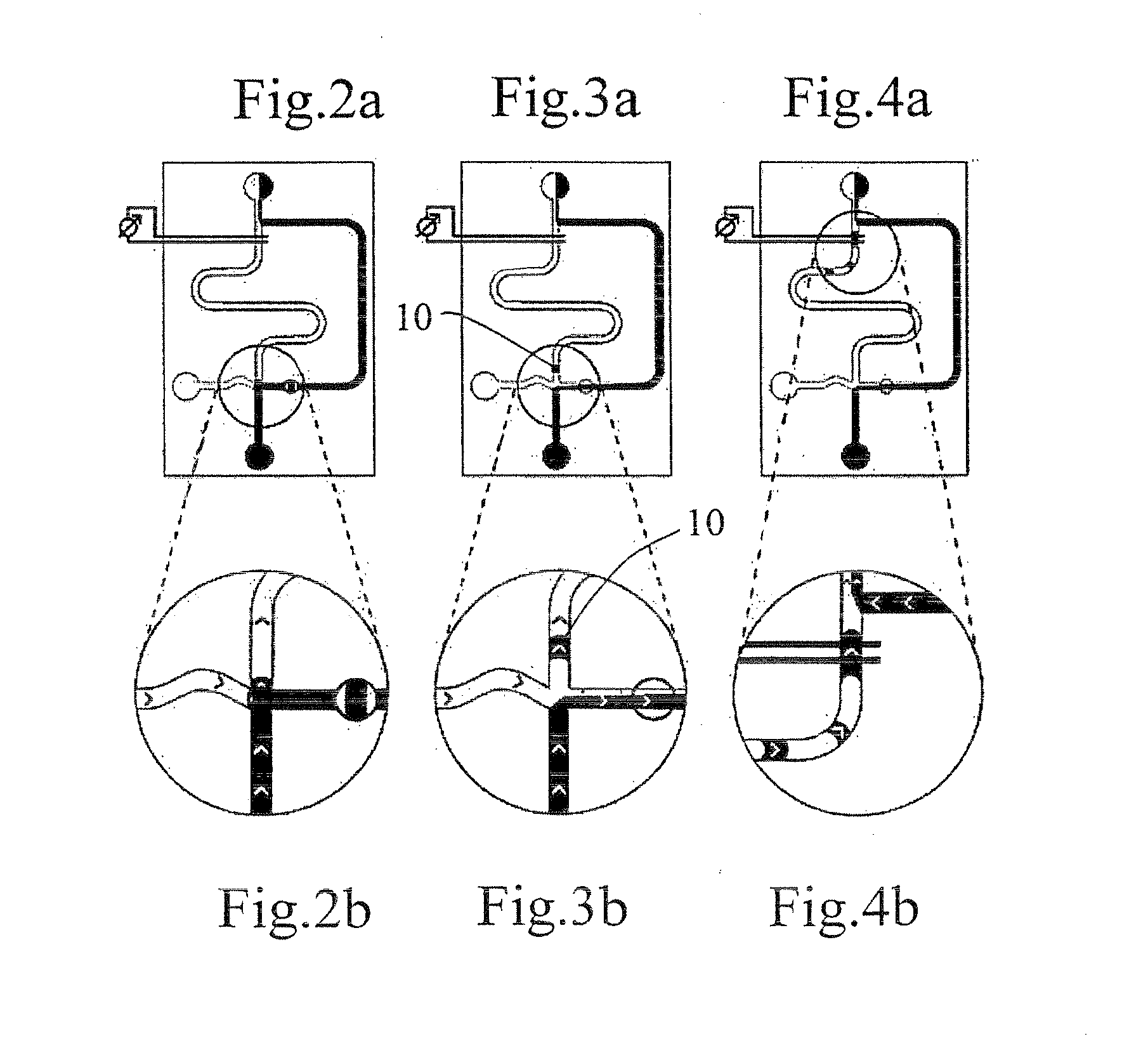 Process for Continuous On-Chip Flow Injection Analysis