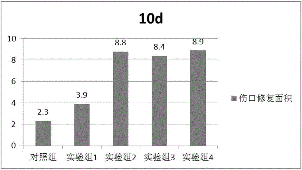 Skin ulcer healing combination and preparation method thereof