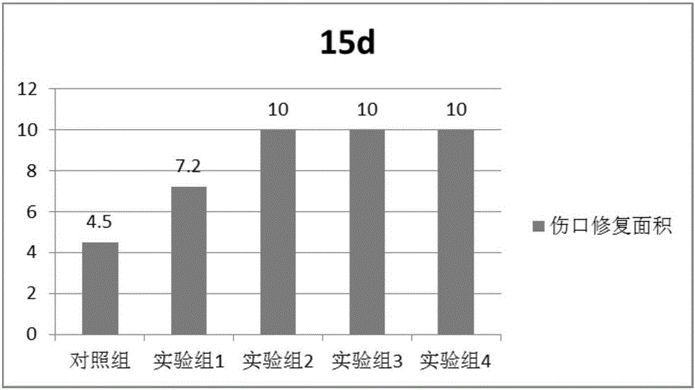 Skin ulcer healing combination and preparation method thereof