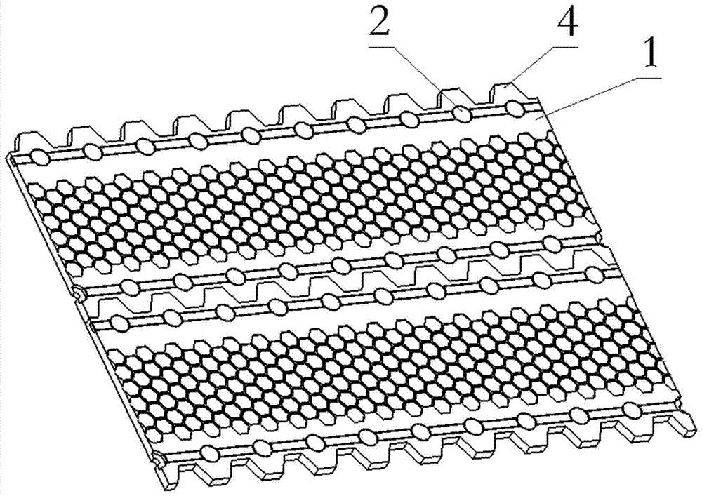 A row of nails used for aircraft snow take-off and landing blanket