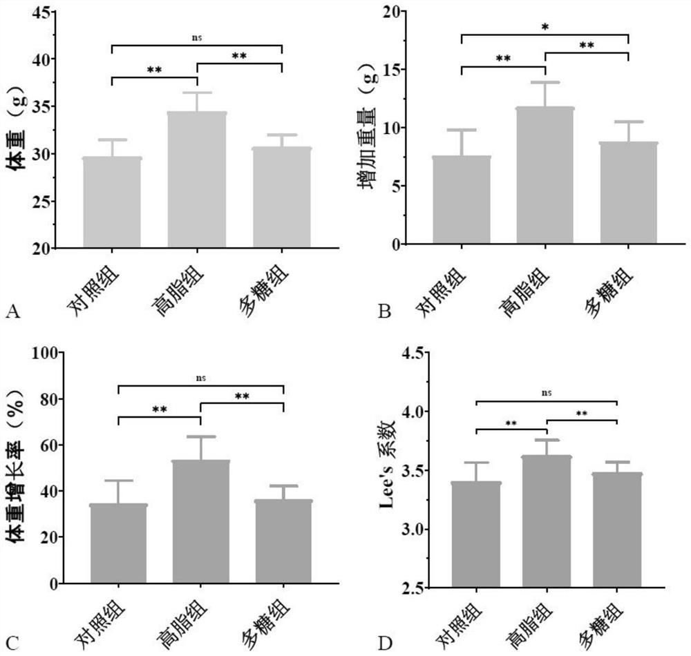 Application of cordyceps guangdongensis sporocarp polysaccharide in preparation of medicine for treating and improving obesity and related diseases