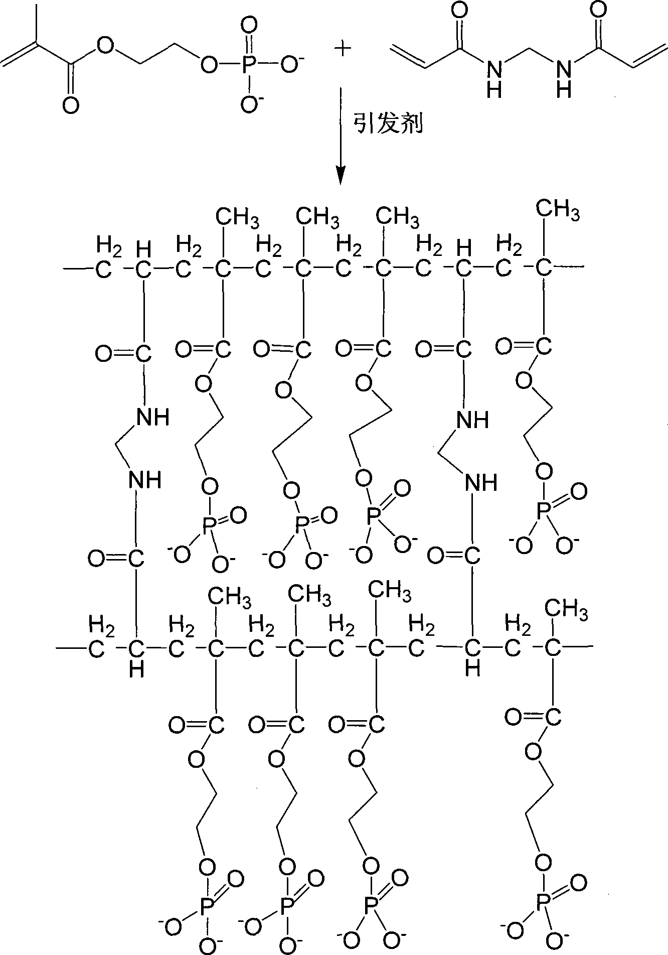 Preparation of polymer material for enriching phosphorylated peptide segments