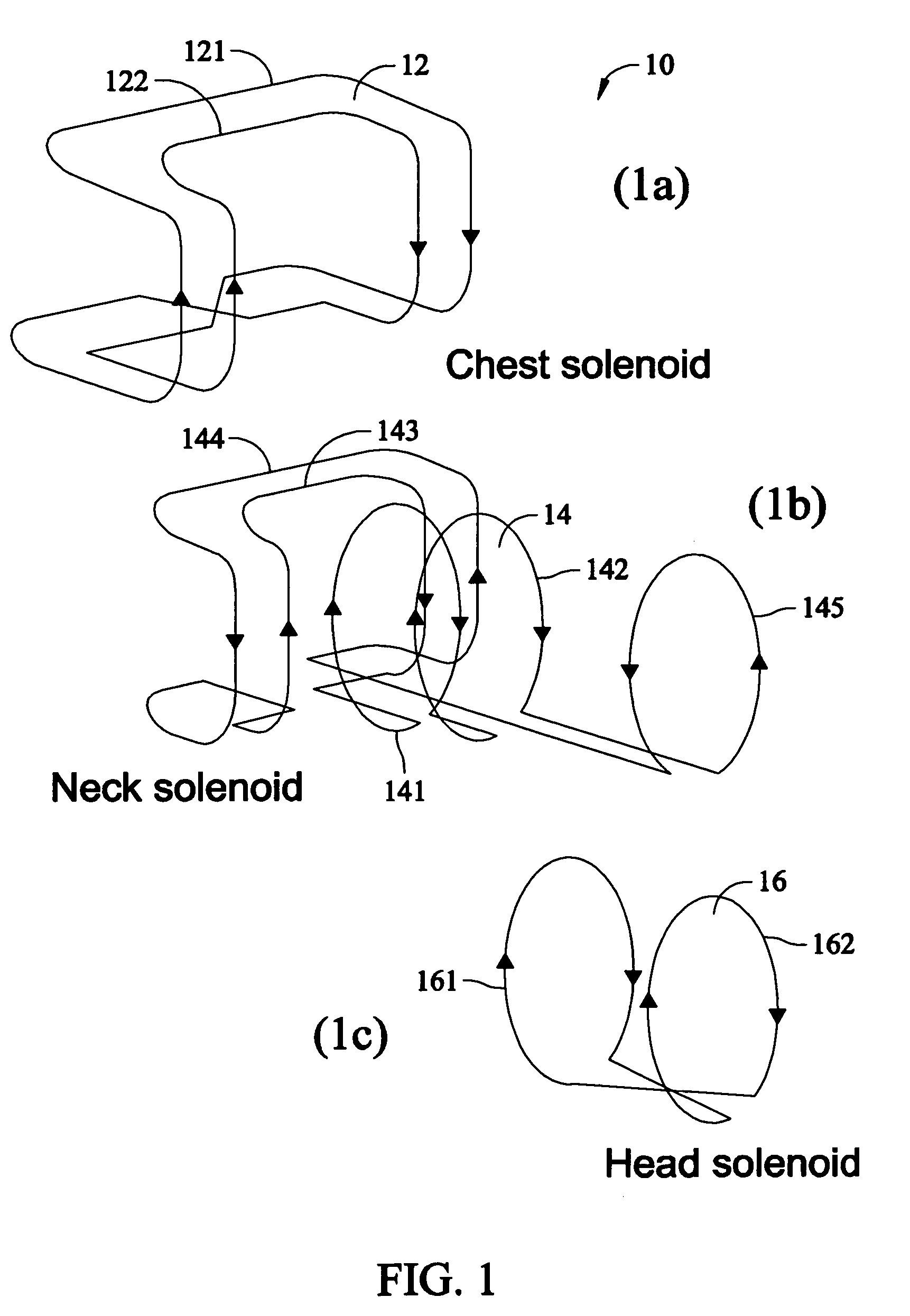 Vertical field neurovascular array coil
