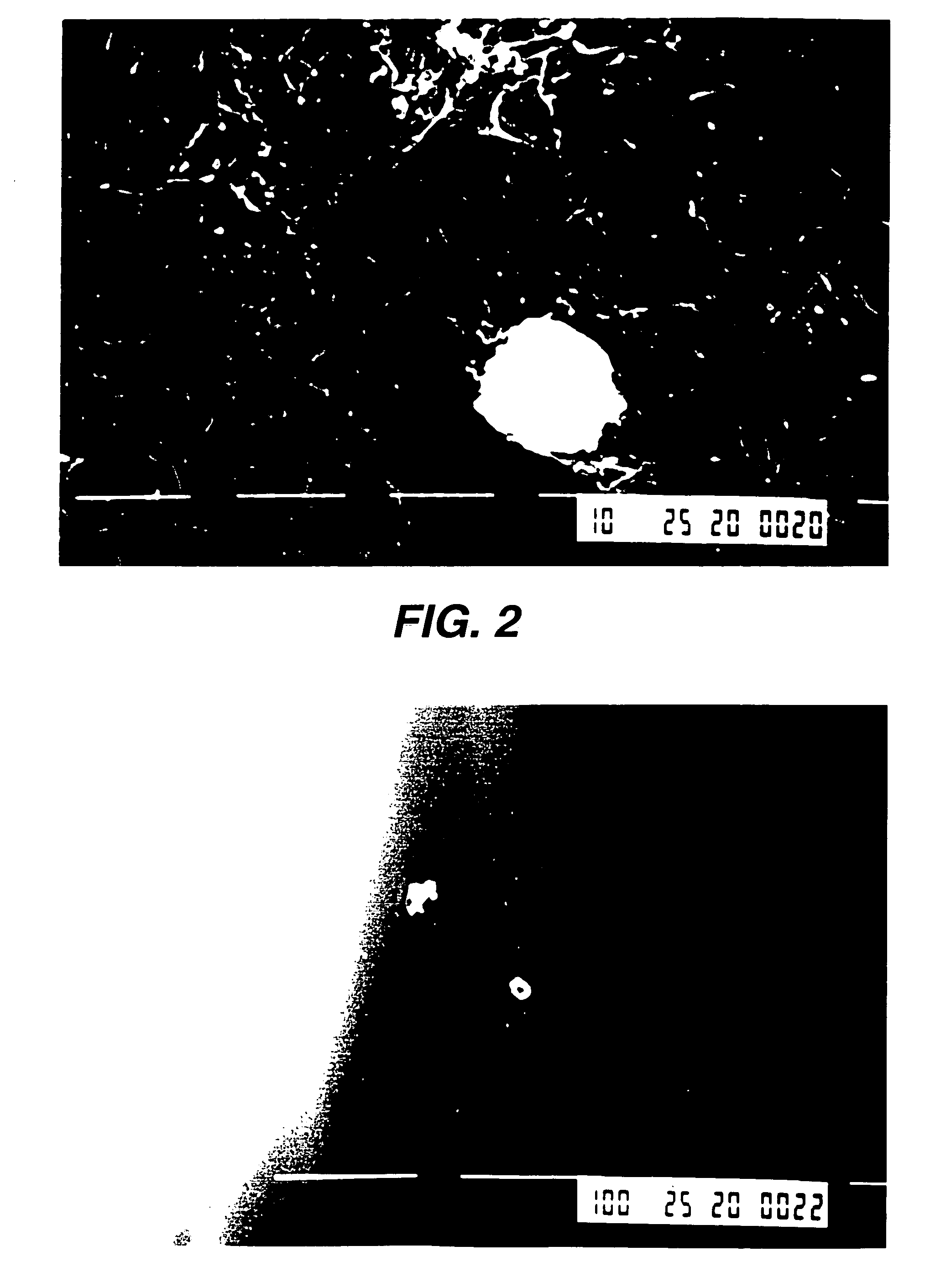 Cleaning composition and apparatus for removing biofilm and debris from lines and tubing and method therefor