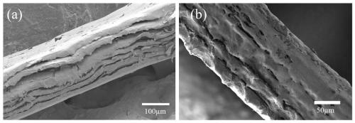 High-thermal-conductivity polypropylene/graphene composite material and preparation method thereof