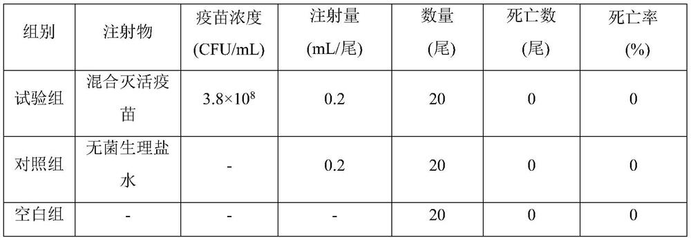 Pelteobagrus fulvidraco mixed bacterium inactivated vaccine