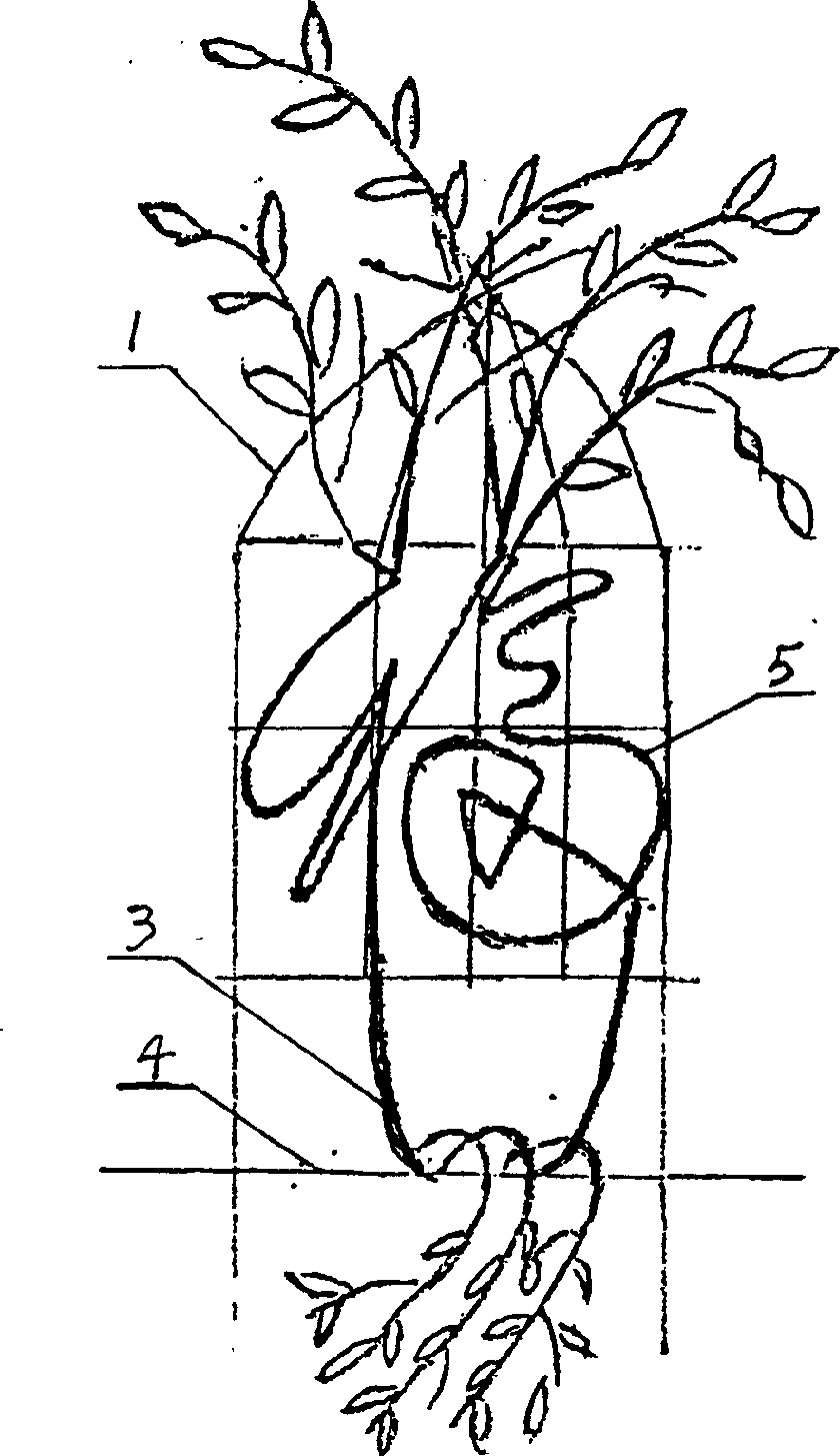 Method for culturing plant characters