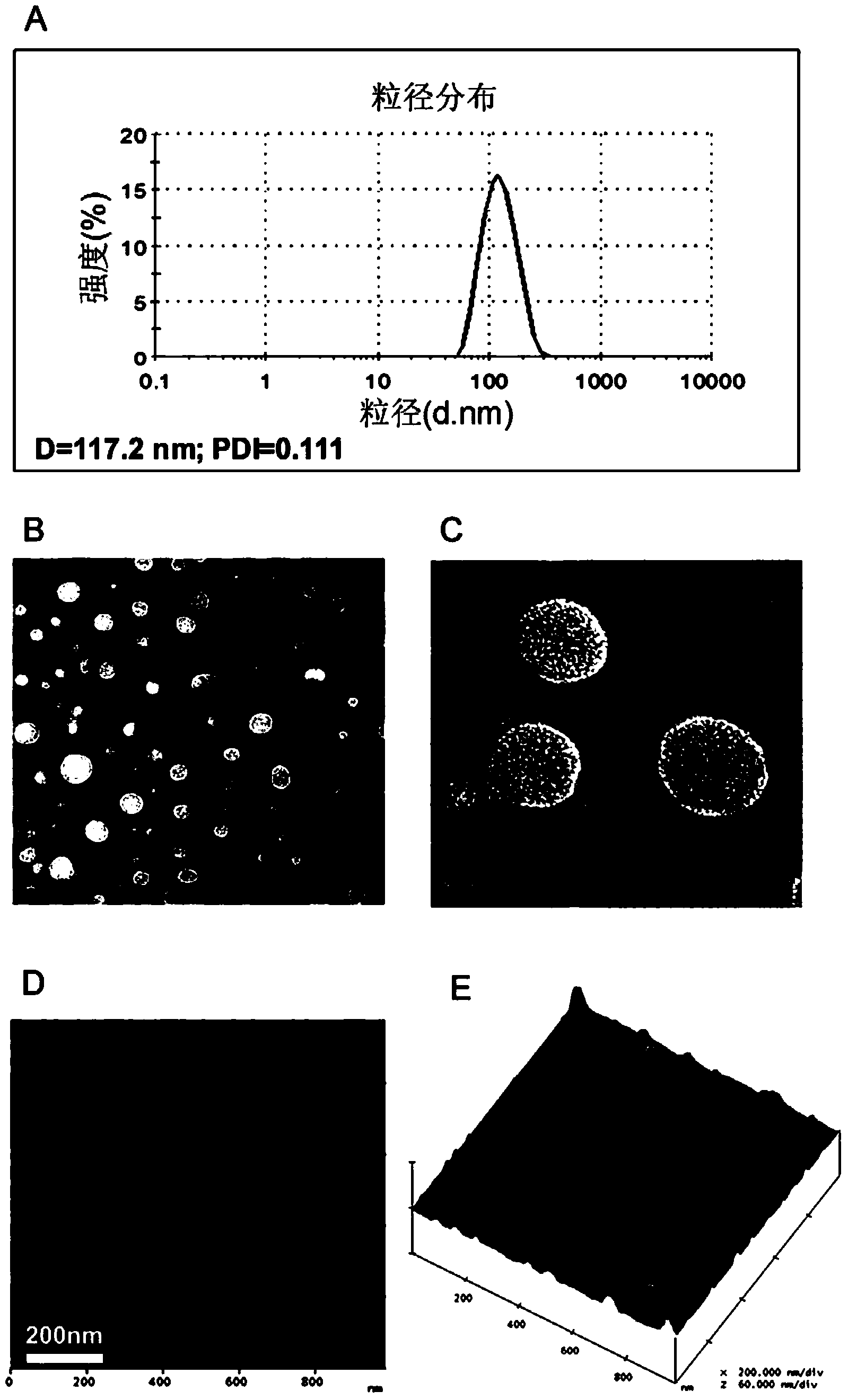 Method for preparing docetaxel and sulforaphane loaded self-assembled nano-particle and application of nano-particle