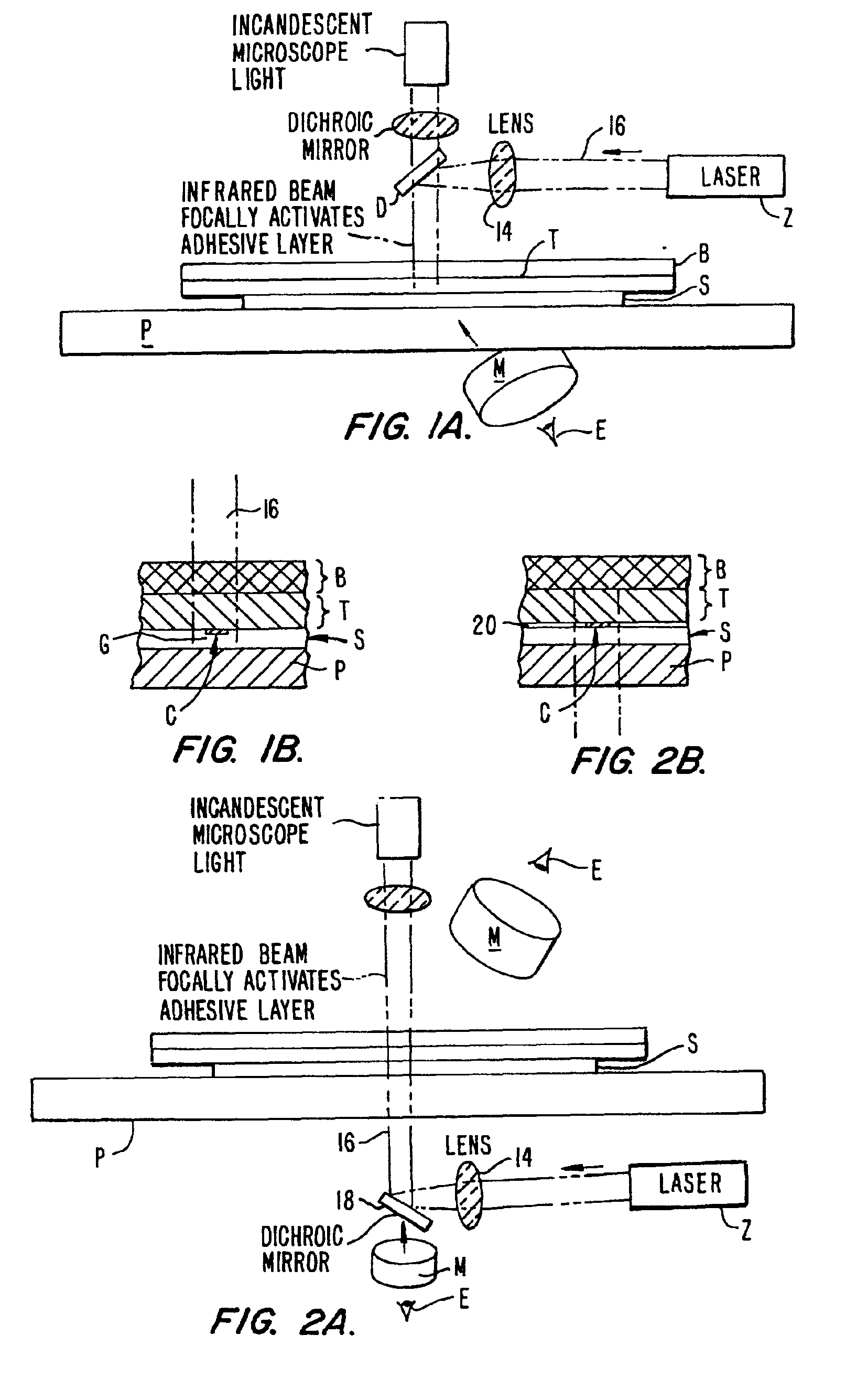 Method of laser capture microdissection from a sample utilizing short pulse length