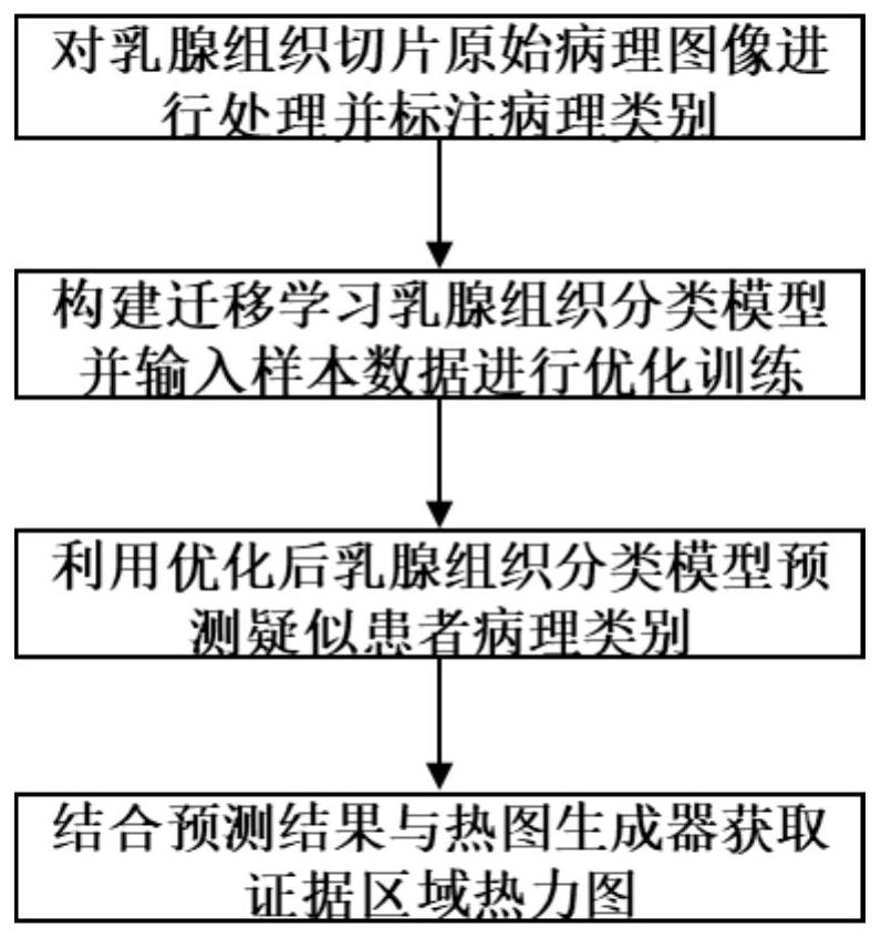 Breast tissue classification and identification method based on transfer learning