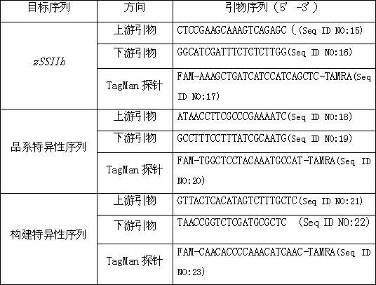 Standard plasmid molecule for transgenic maize Mon810 detection and construction method thereof