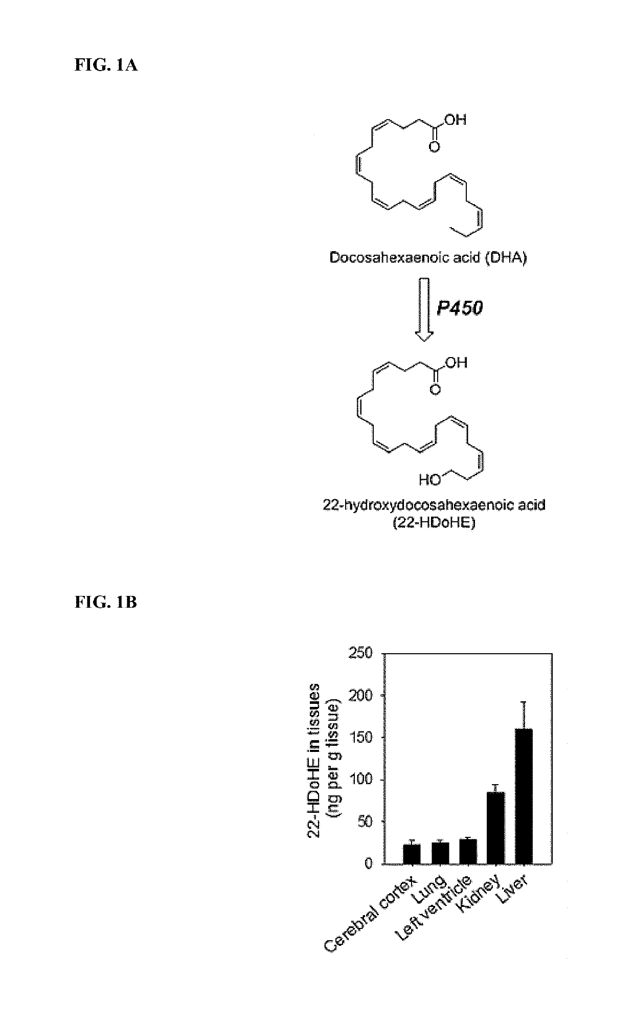 Synthesis and use of omega-hydroxylated polyunsaturated fatty acids