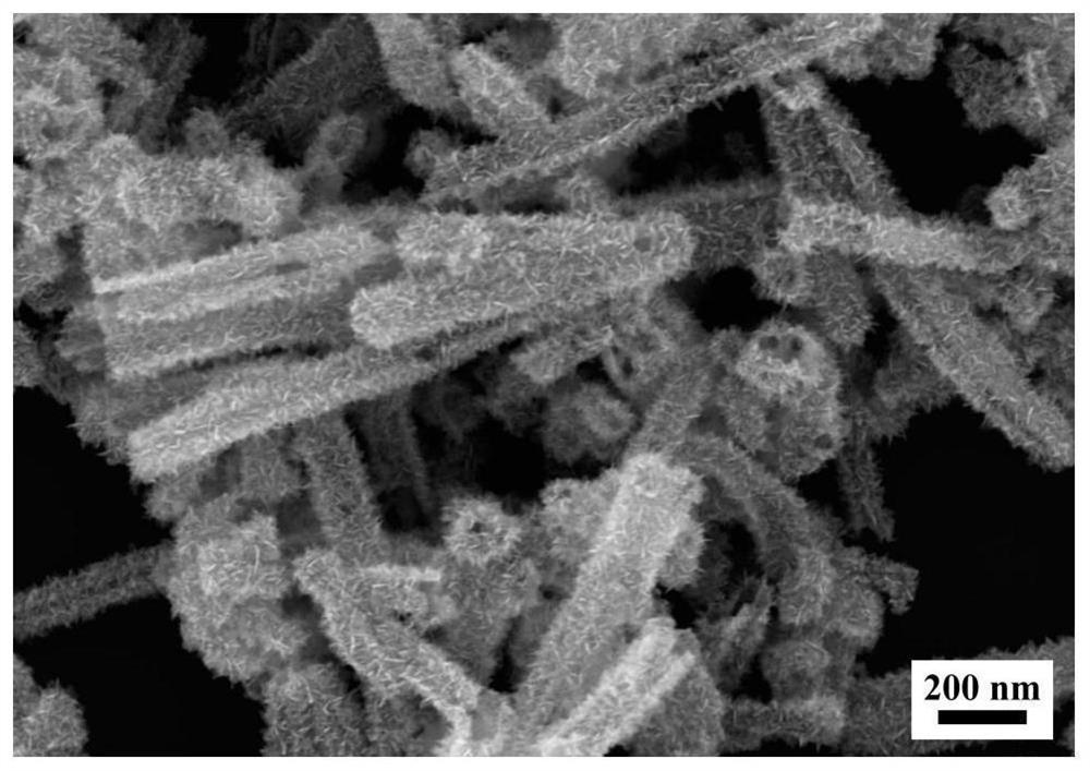 A fish scale hollow snse nanotube self-powered infrared detector and its preparation method