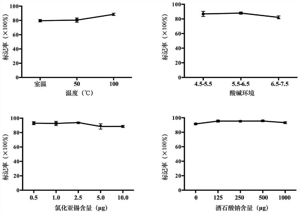 Tumor molecular probe for targeting cervical cancer and application thereof