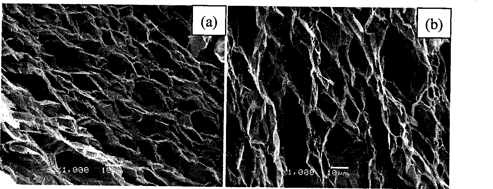 Method for preparing aminoglutaric acid modified expanded graphite and use in methyl aldehyde gas adsorption