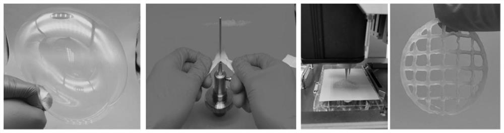 Preparation method and application of enzymatic biologic salt gel