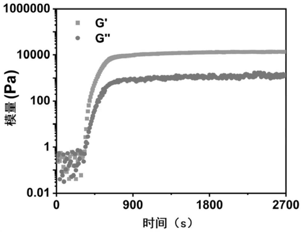 Preparation method and application of enzymatic biologic salt gel