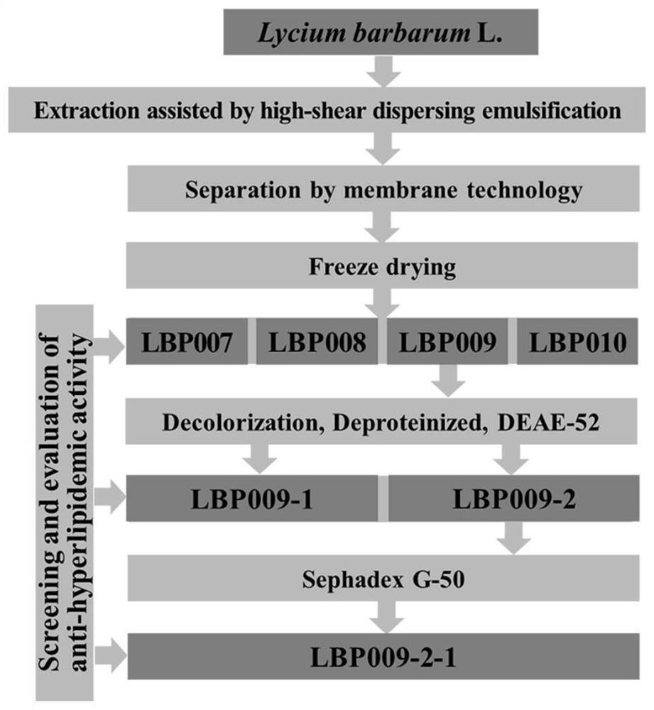 Lycium barbarum polysaccharide with hypolipidemic effect