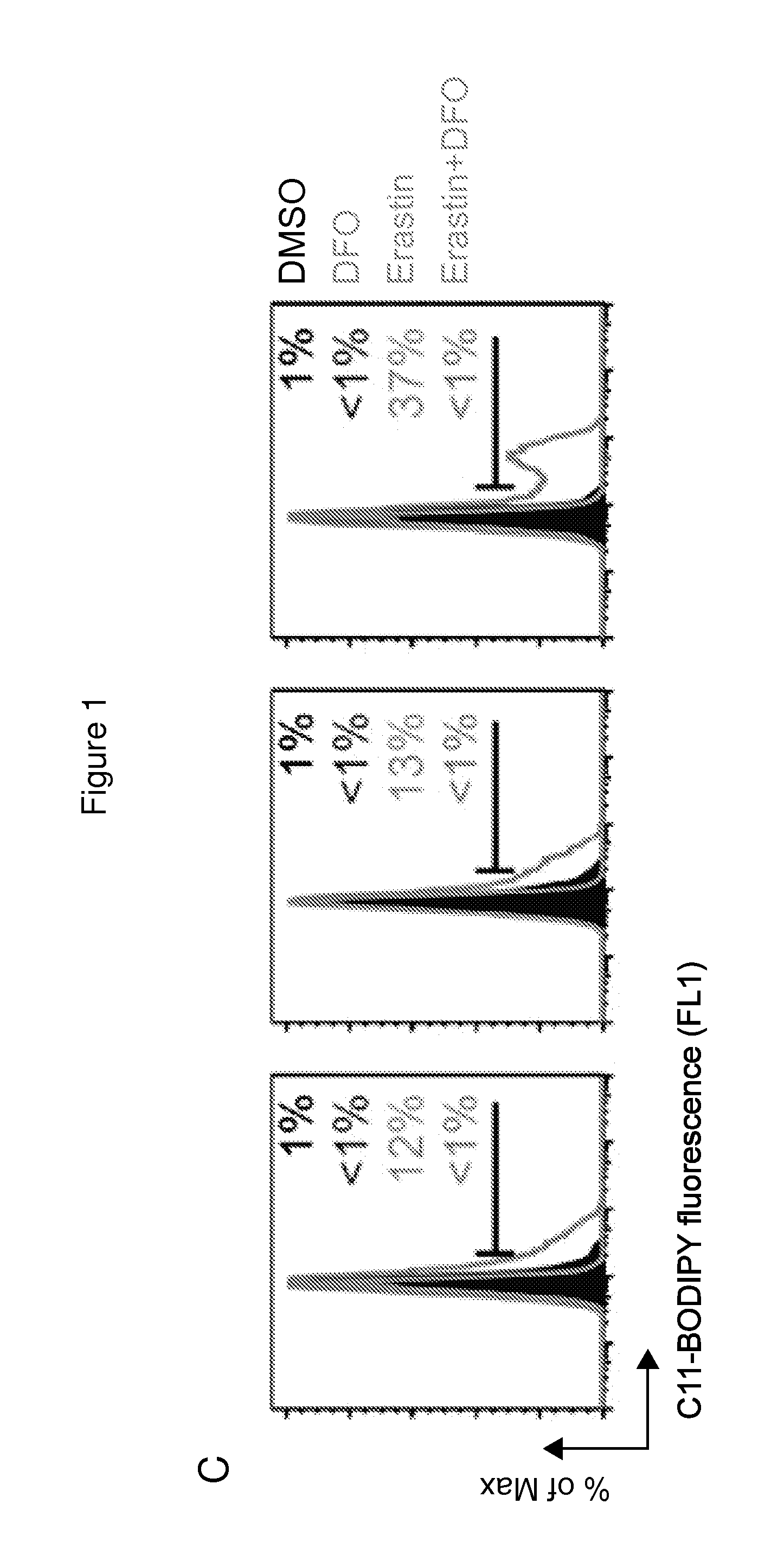 Compounds, Compositions, and Methods  For Modulating Ferroptosis and Treating Excitotoxic Disorders
