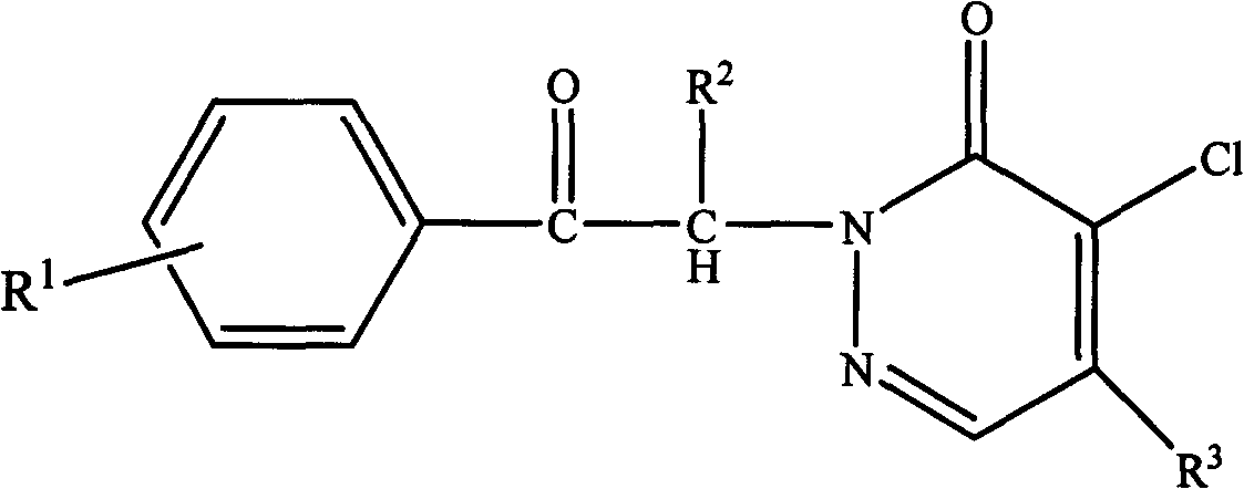 Pyridazinone compound and synthesis method thereof