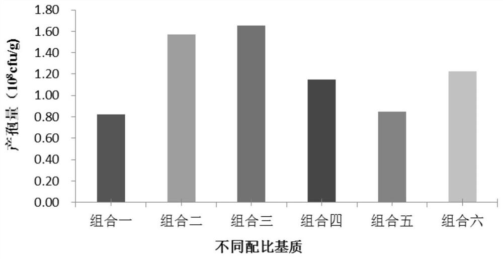 Trichoderma brevicompactum GSAAMLSHU-1 water dispersible granule as well as preparation method and application thereof