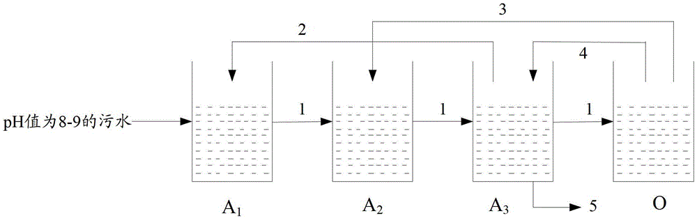 A3O industrial wastewater biochemical treatment technology and apparatus thereof