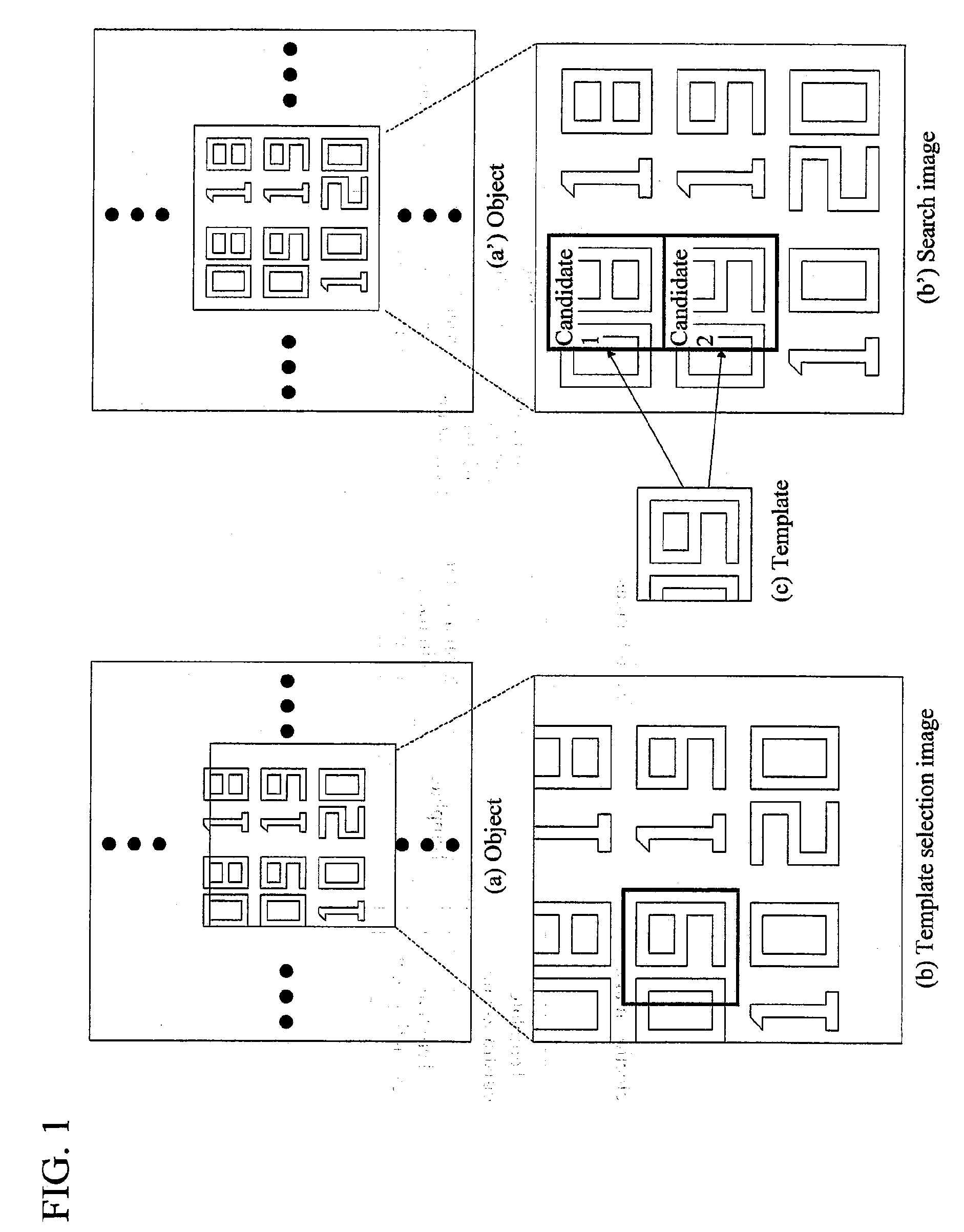 Inspection Apparatus and Method