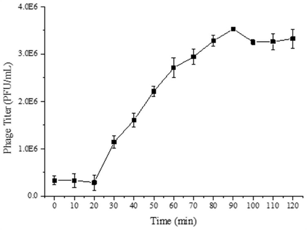 Shigella flexneri microphage SGF3 and application thereof